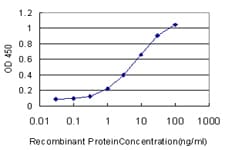 Monoclonal Mouse anti-Human ERH Antibody (clone 4A10, IHC, IF, WB)