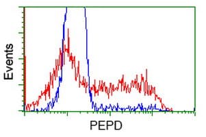 IHC-plus™ Monoclonal Mouse anti-Human PEPD / PROLIDASE Antibody (clone 1B7, IHC, IF, WB)