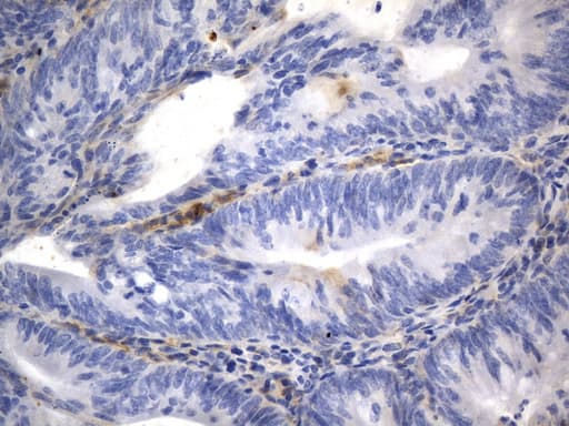 CD40 Antibody (aa21-166, clone UMAB255, Carrier-free)