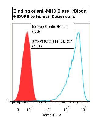 MHC Class II Antibody (clone TDR31.1, Biotin)