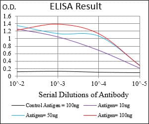 RING1 Antibody (aa79-263, clone 8E8A2)