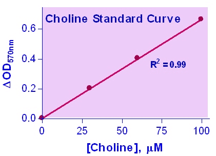 Choline Assay Kit (Colorimetric/Fluorometric)