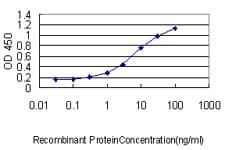 MIF Antibody (clone 2A10-4D3)