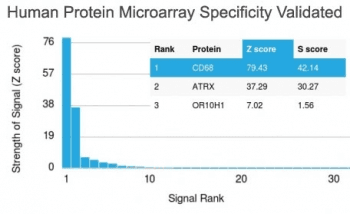 CD68 Antibody (clone LAMP4/1830)