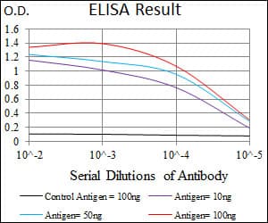 IHC-plus™ HAS2 Antibody (clone 4E7)
