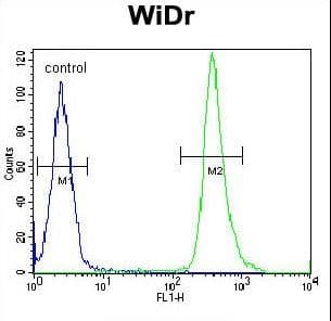 ZC4H2 Antibody (aa196-224)