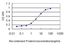ICAM-1 / CD54 Antibody (clone 3H8-2G6)