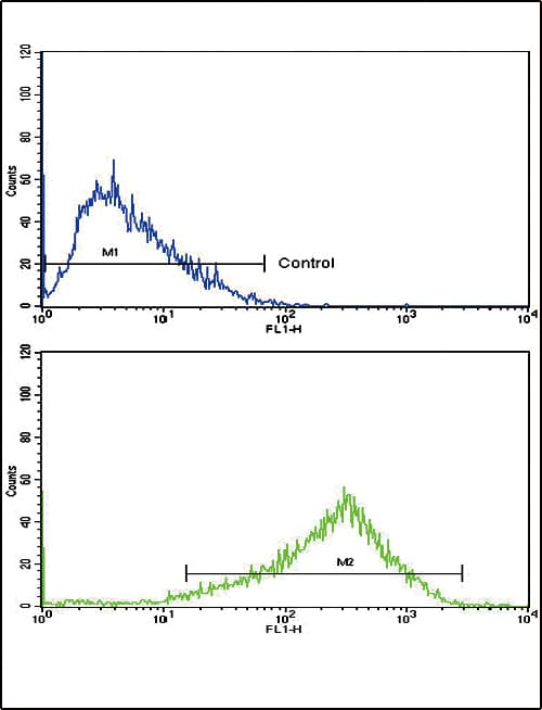 AP2A2 Antibody (aa610-637)