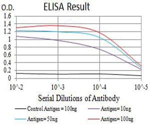 AUTL1 / ATG4C Antibody (clone 2E10H7)