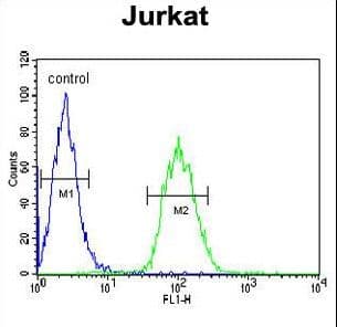 ALAD Antibody (aa244-272)