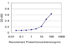 Monoclonal Mouse anti-Human ZFP36L1 Antibody (clone 1A3, WB)