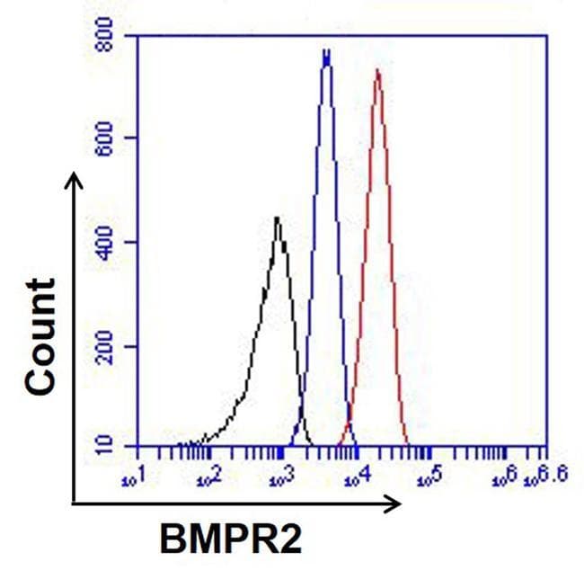 BMPR2 Antibody (clone 3F6F8)