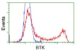 BTK Antibody (clone OTI12D4)