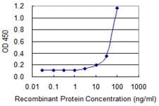 MYBL1 / A-MYB Antibody (clone 2A2)