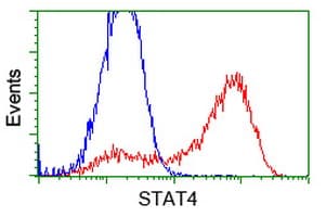 STAT4 Antibody (clone OTI4H6)