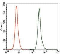 NR6A1 / GCNF Antibody (Amino Acid: 65-118, clone 4G8)