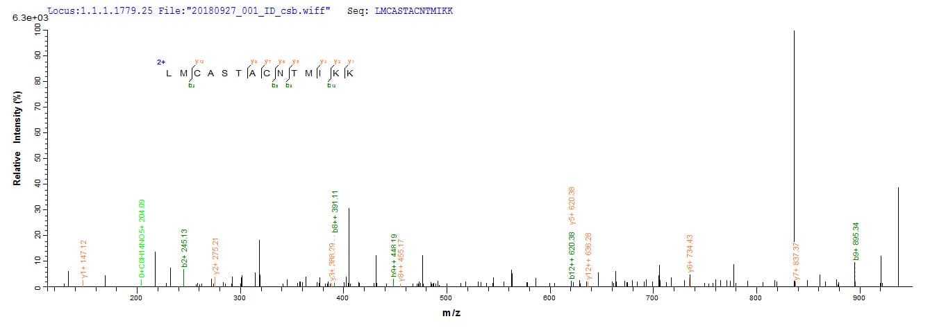 Beta-elicitin cryptogein (Phytophthora cryptogea) Protein (Recombinant 10His, N-terminus + Myc, C-terminus)