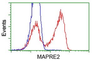 IHC-plus™ MAPRE2 / EB2 Antibody (clone 1F3)