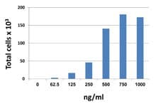 Human BLC / CXCL13 Protein (Recombinant)