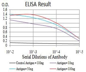ALDH1A1 / ALDH1 Antibody (clone 2G1G4)