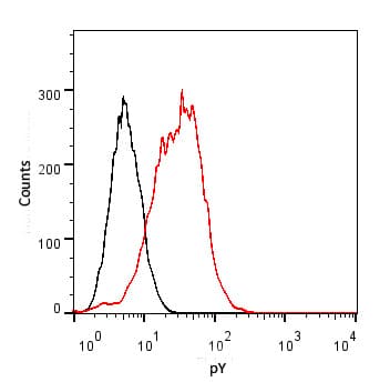 Phosphotyrosine Antibody
