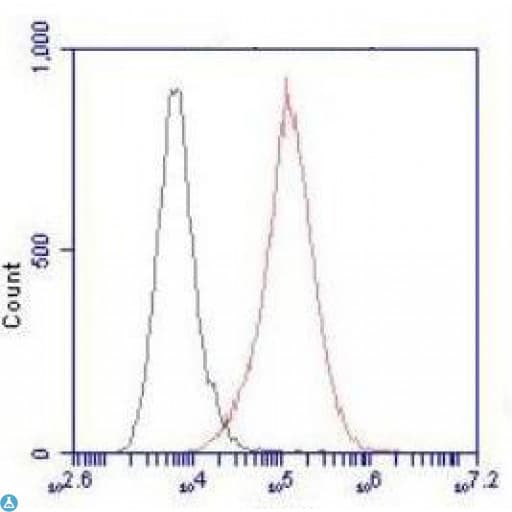SMC1A / SMC1 Antibody