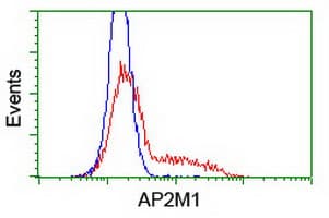 Monoclonal Mouse anti-Human AP50 / AP2M1 Antibody (clone OTI1F10, IF, WB)