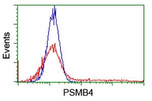 PSMB4 Antibody (clone OTI1F8)