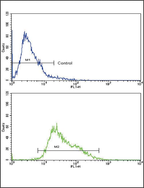 AMHR2 / MISRII Antibody (aa374-402)
