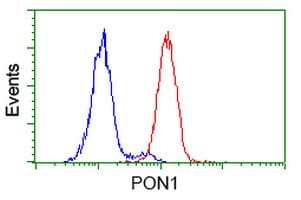 PON1 / ESA Antibody (clone OTI2A6, Carrier-free)