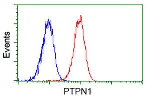 PTP1B Antibody (clone OTI1B4)