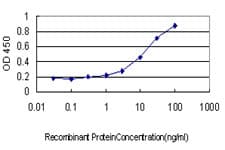 AIM / CD5L Antibody (clone 1C8)