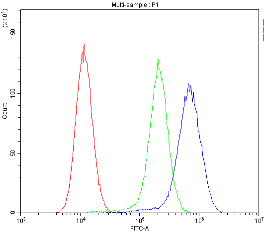 MVP / VAULT1 Antibody
