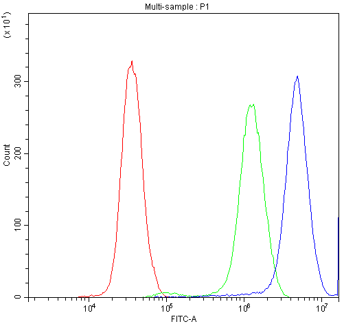 SYT1 / Synaptotagmin Antibody