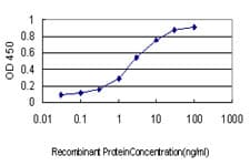 TGIF1 Antibody (clone 1D12)