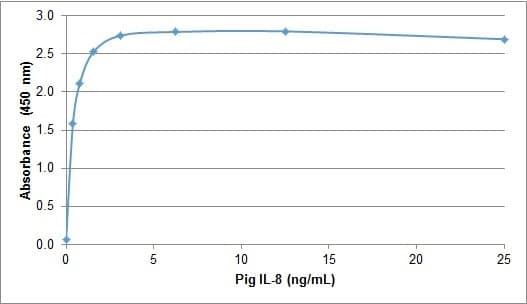 Pig IL8 / Interleukin 8 Protein (Recombinant)