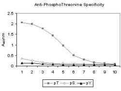 Phosphothreonine Antibody (clone 18F6)