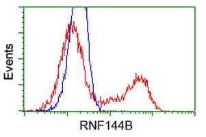 RNF144B Antibody (aa1-256, clone OTI6B5, Carrier-free)