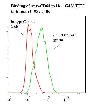 Monoclonal Mouse anti-Human FCGR1A / CD64 Antibody (clone 10.1, WB)