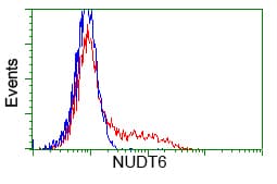 NUDT6 Antibody (clone OTI9D5)