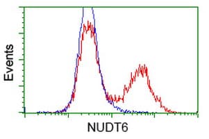 NUDT6 Antibody (clone OTI10B4)