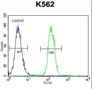 TMEM151B Antibody (aa127-155)