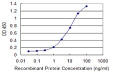 Monoclonal Mouse anti-Human MYST3 / MOZ Antibody (clone 4D8, WB)