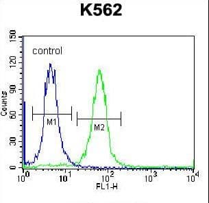 SP6 Transcription Factor Antibody (aa196-225)