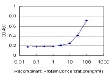 Monoclonal Mouse anti-Human EXT1 Antibody (clone 5A5, WB)