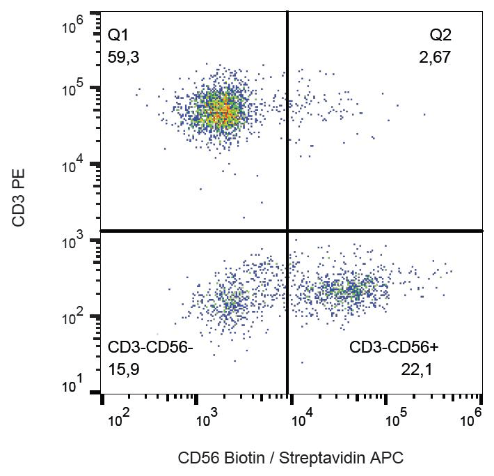 NCAM / CD56 Antibody (clone MEM-188, Biotin)
