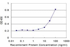 Monoclonal Mouse anti-Human CD121b / IL1R2 Antibody (clone 1G12, WB)