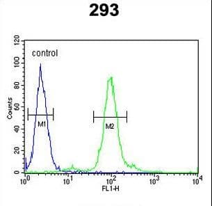 FAU / Fub1 Antibody