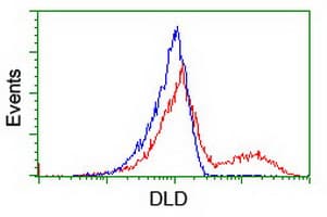 DLD / Diaphorase / E3 Antibody (clone OTI6G6)