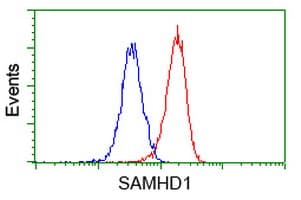 SAMHD1 Antibody (clone 2D7, Carrier-free)